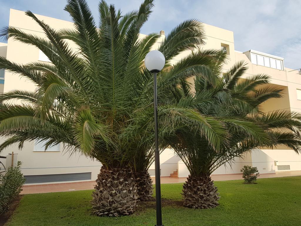Apartamento Alondras Playa Dénia Exterior foto